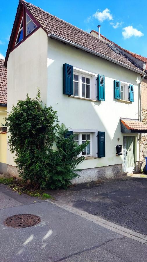 Schoenes Gemuetliches Haus Toplage Freinsheim Eksteriør billede